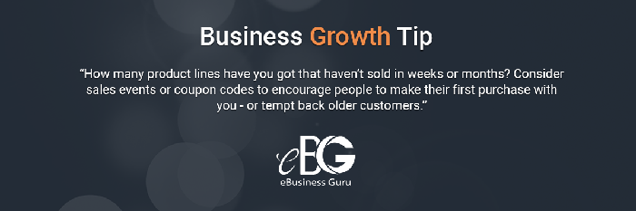 Business Growth Tip eBusiness Guru