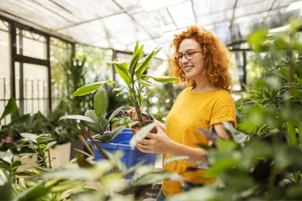 Woman admiring available plants in garden centre